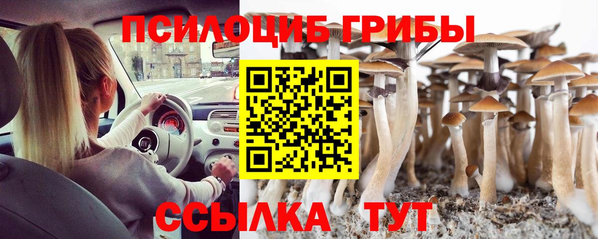 Галлюциногенные грибы GOLDEN TEACHER Раменское